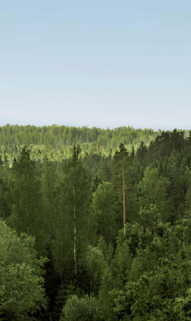 Käytännön metsävinkkejä SPVtilanteeseen Aloittakaa ajoissa. Viimeistään silloin kun hakkuupäätöksiä lykätään jatkajalle säästämiseksi!!! Metsienhoito ja -käyttö on helppoa.