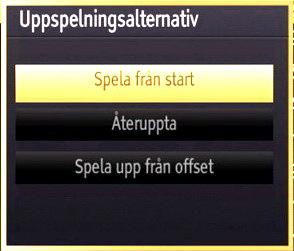 Time shift-inspelning Tryck på knappen (PAUS) när du ser ett TVprogram och vill växla till timeshifting-läge. I timeshifting-läget pausas programmet och spelas samtidigt in på USB-disken.