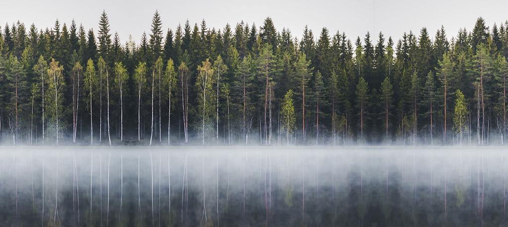 Vastuullisuusohjelman eteneminen Tutustu jokaiseen sataan tekoon tarkemmin Paras paikka elää -sivuilla.