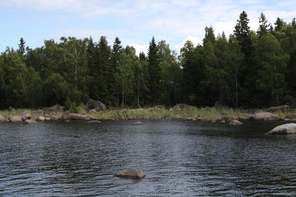 8 (12) Kuva 1; Ranta uuden rakennuspaikan edestä.