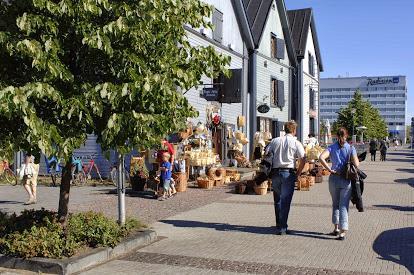 Pohjoisia näkökulmia puhesuomeen Ulkomaalehtoreiden koulutus- ja