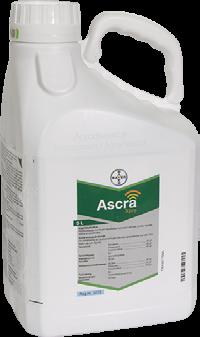 Ascra Xpro UUTUUS! Uusi SDHI-tehoaineryhmän tautiaine kaikille viljoille Pitkä suoja-aika tauteja vastaan, pitää kasvuston vihreänä ja elinvoimaisena.