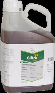 Siltra Xpro SDHI-tehoaineryhmän valmiste kaikkien viljojen tautien torjuntaan Suomen ensimmäinen SDHI-tehoaineryhmään kuuluva tautiaine. Helppo käyttää valmis ratkaisu yhdessä purkissa.