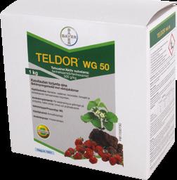 Teldor WG 50 Harmaahomeen torjuntaan mansikalta, vadelmalta, herukoilta, tomaatilta ja koristekasveilta Torjuu tehokkaasti harmaahomeen. Hellävarainen kasveille.