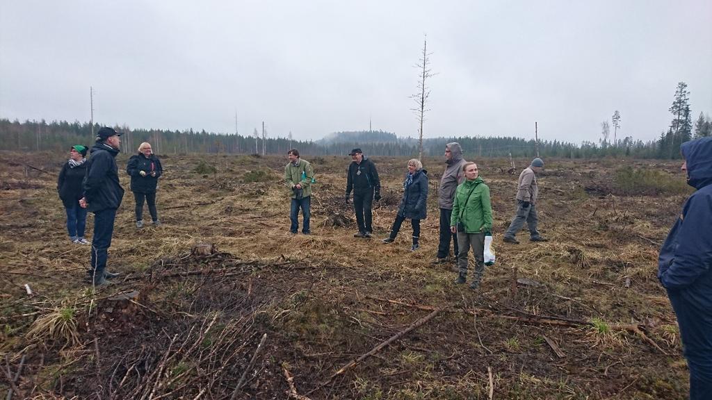 Tuhkan käyttö kivennäismaametsien Projektiraportti 43(51) paikkatietosovellukseksi. Tuhkasta olisi saatava luotua tuote, joka olisi yhtä helposti saatavilla kuin muutkin lannoitteet.