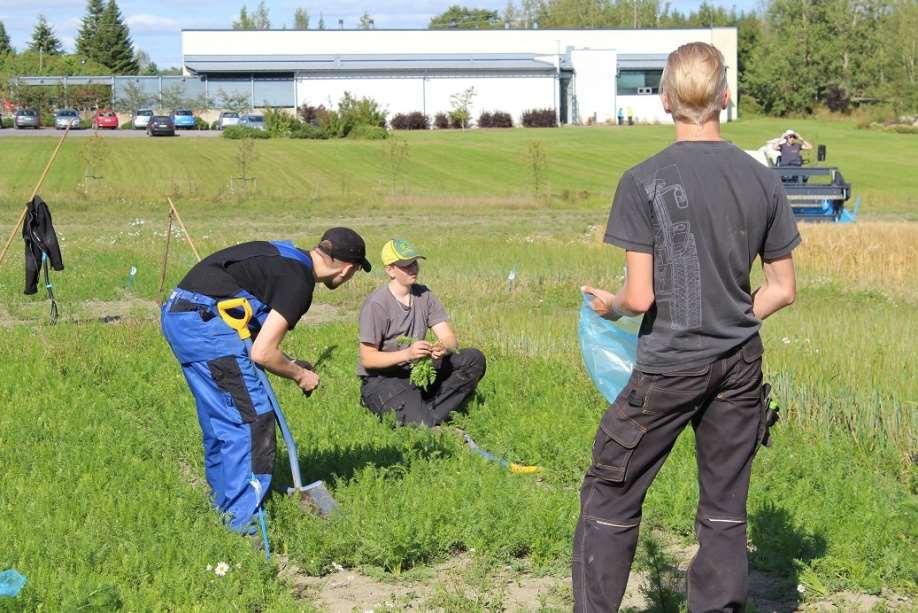 Tuorlan opiskelijat olivat