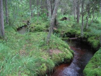 kertaluontoiseen näytteenottoon Kiintoaineen ja sedimentin ominaisuuksien selvitys menetelmät Aineistoa