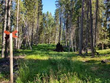 70 Ympäristövaikutusten arviointiohjelma Normaalitilanteessa häviöitä vähennetään pitämällä jännitetaso mahdollisimman korkealla. Häviöt otetaan huomioon myös kantaverkkoinvestointien arvioinnissa.