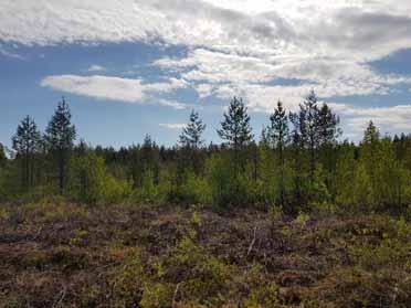 Voimajohtohankkeen rakentamisen ja purkamisen aikaiset ilmanpäästöt ja energian kulutus liittyvät näissä vaiheissa käytettävien työkoneiden päästöihin.