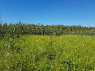 Seudulla on vahva hirvikanta, jolle talousmetsän hakkuiden ja eri-ikäisten taimikoiden sekä soiden mosaiikkimainen vuorottelu muodostaa runsaasti sopivia elinympäristöjä.