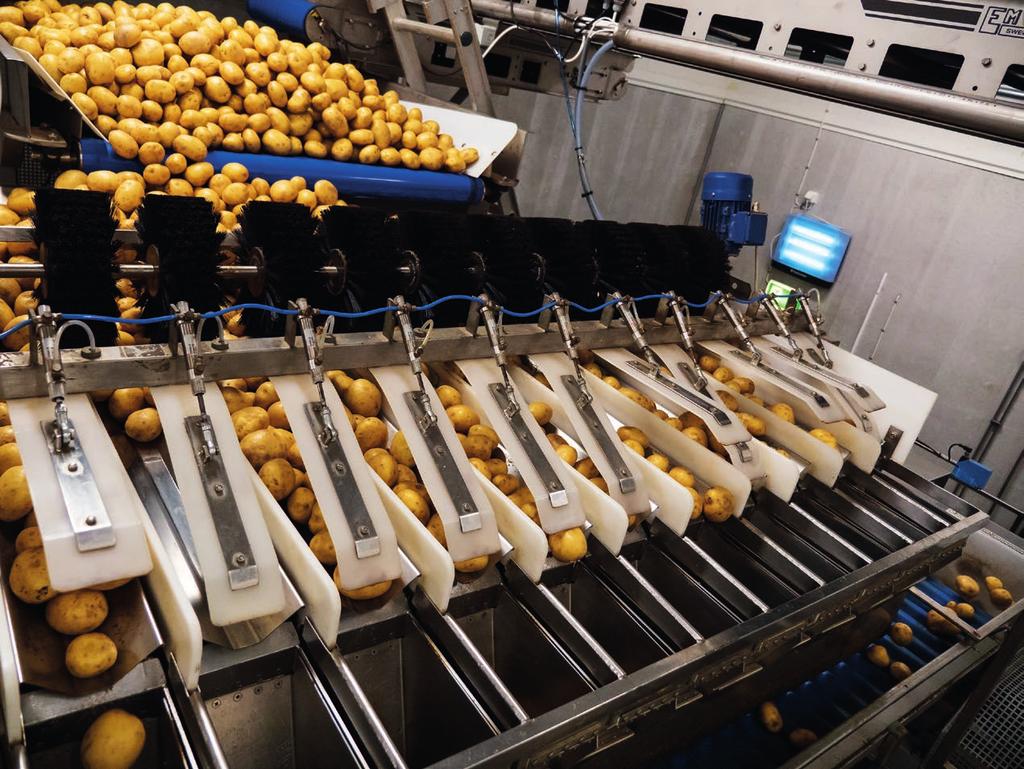 Tilaustyö, ongelmaratkaisu ja innovaatiot Pitkä ja laaja kokemuksemme on tehnyt meistä asiantuntijoita perunoiden, vihannesten ja elintarvikkeiden automaation ja käsittelyn alalla.
