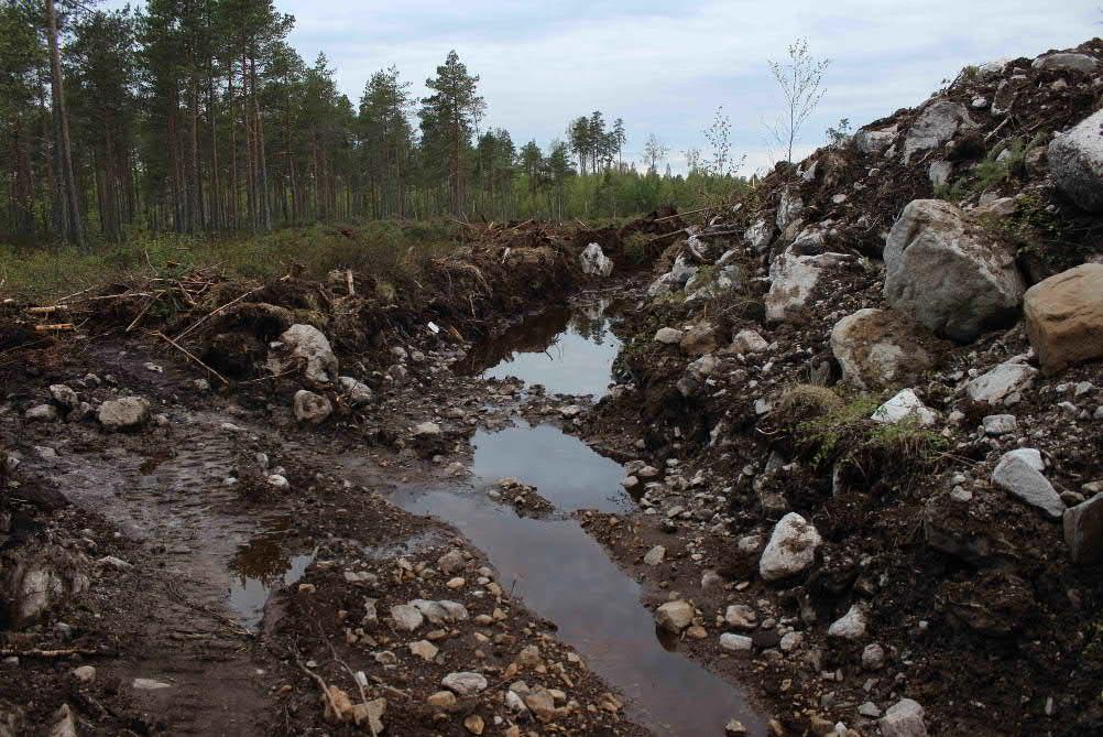 Suon kuivatusvesiä. Kuva: Jari Venetvaara 18.5.