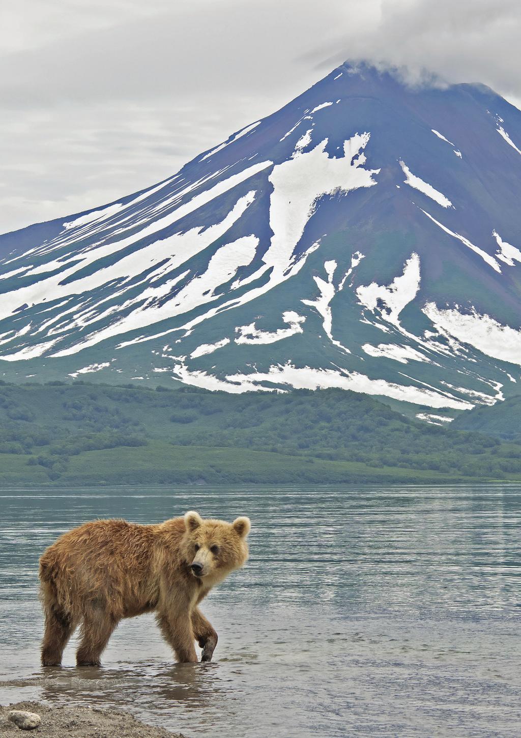 KAMCHATKAN