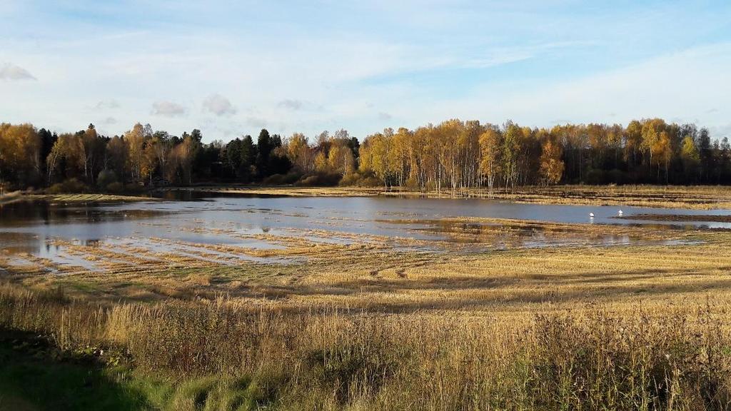 Viljelykierrosta on monipuolista hyötyä, mitkä kaikki heijastuvat kannattavuuteen Kasvinsuojeluriskit vähenevät Maan kasvukunto paranee maa väsyy yksipuolisessa viljelyssä Satotasot nousevat