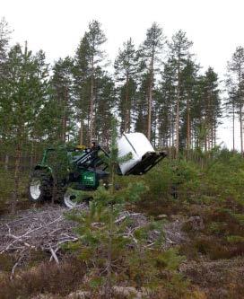 Tavoitteet 1) Selvittää, miten biohiilen lisäys vaikuttaa maan