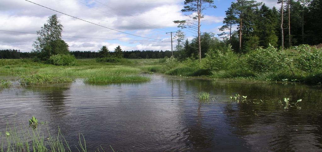 Kärrilän allas ja kosteikko Rakennettiin vuonna 1999 Kunnostettiin 21 Valuma-alue 8,51 km 2,7 ha <,1 %