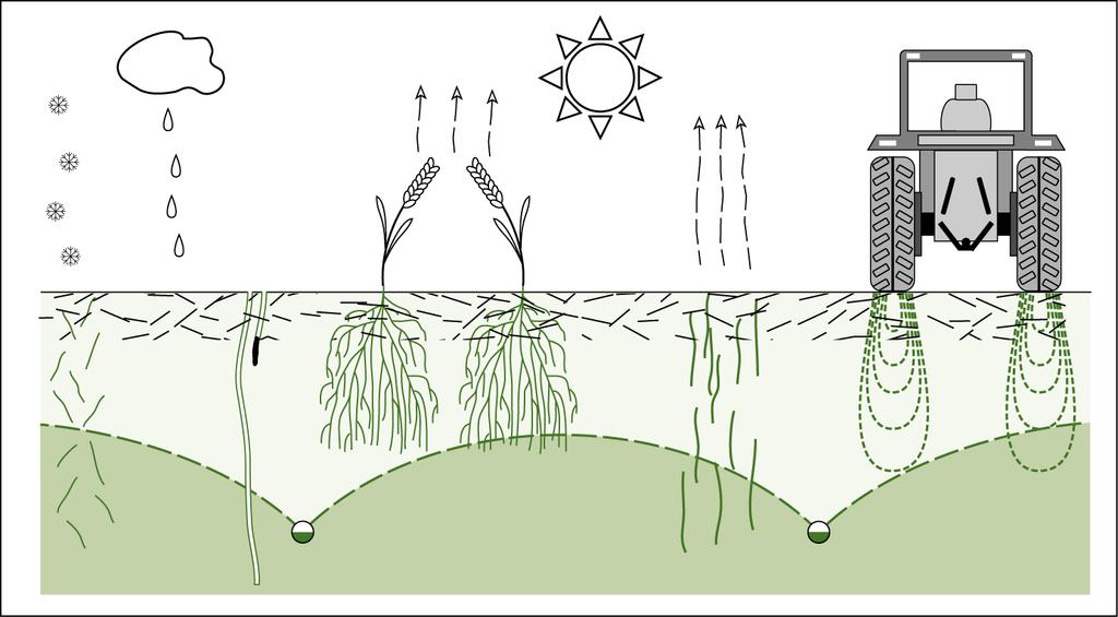 Pellon kuivatuksen vaikutus suoraan tai välillisesti maan rakenteeseen, juuriston syvyyteen ja sitä kautta ympäristöön, poudankestävyyteen sekä maan kantavuuteen.