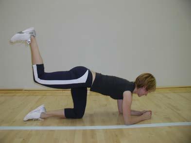 gluteus maximus) keskimmäinen ja pieni pakaralihas (m. gluteus medius/minimus) reiden takaosan lihakset (hamstrings) selän ojentajalihas (m.