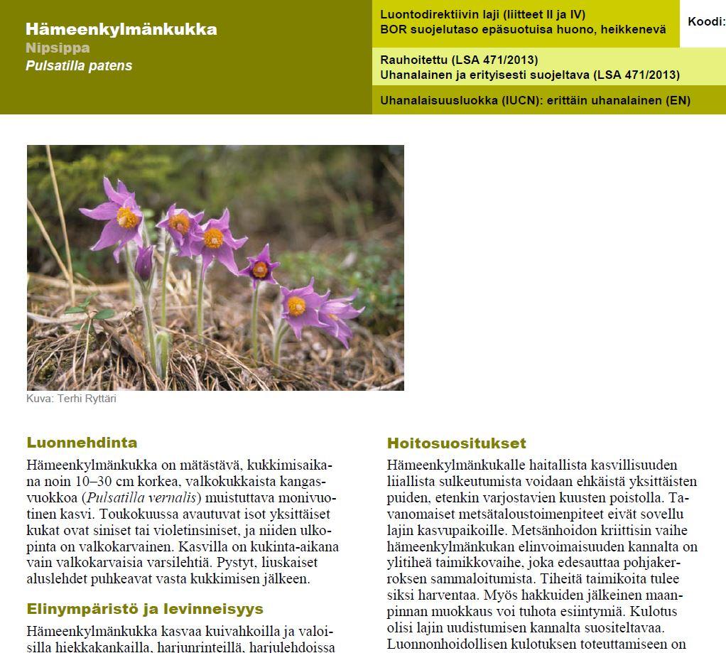 luonnon suojelun monipuolistajana -hankkeessa tavoiteltiin tärkeimpien reviiriytimien suojelua ja niitä ympäröivien metsäalueiden käsittelyä mm.