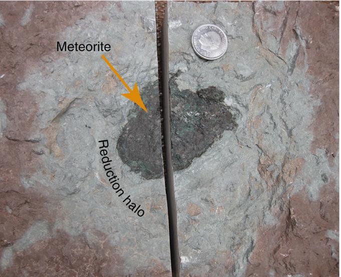 Kuva 9. Österplana 065 -meteoriitti Thorsbergin louhoksesta. Sitä ympäröi harmaa pelkistymisrengas punaisessa kalkkikivessä. Meteoriitin rapautuminen merenpohjalla kulutti happea.