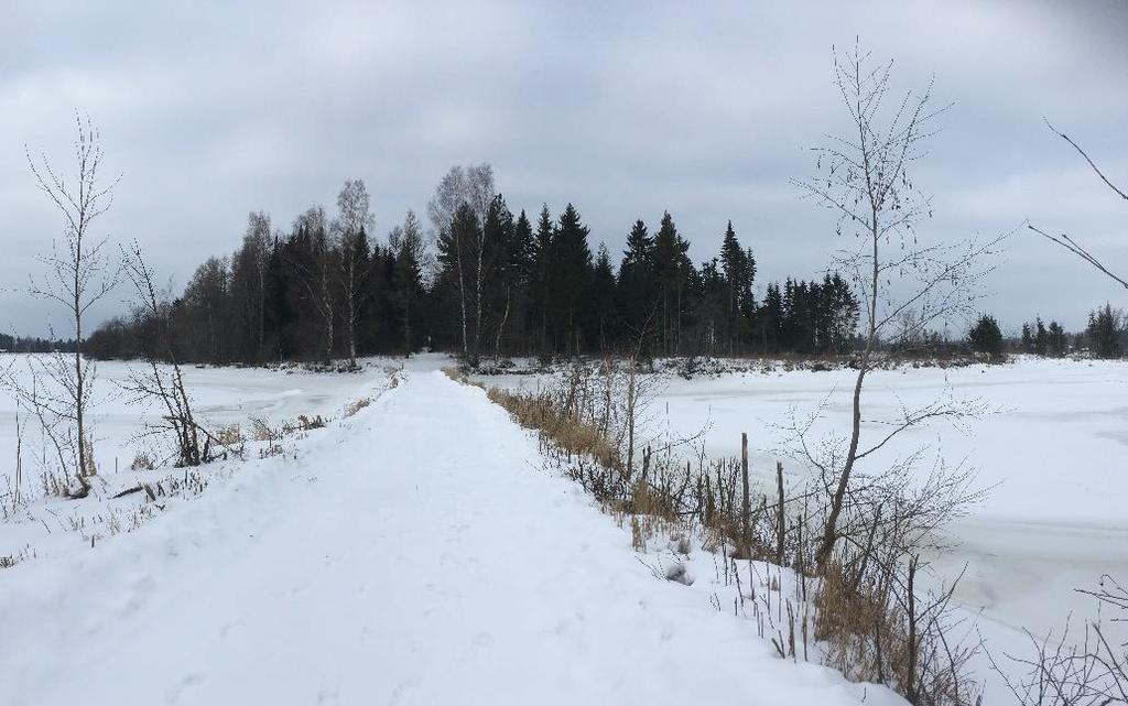 Nosto Consulting Oy 7 (18) Sahanluodon saari etelästä kuvattuna.