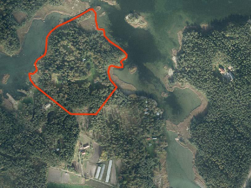 NYKYTILANNE Suunnittelualueella on kolme pientä mökkiä, muuten se on rakentamatonta metsäaluetta.