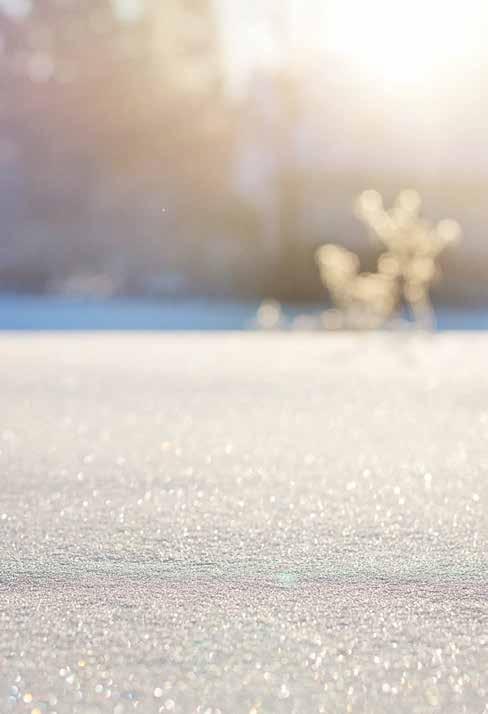 Hyvää alkanutta vuotta 2018 Etelä-Pohjanmaan Munuais- ja maksayhdistyksen jäsenet! Etelä-Pohjanmaan Munuais- ja maksayhdistys ry täyttää tänä vuonna 40 vuotta.