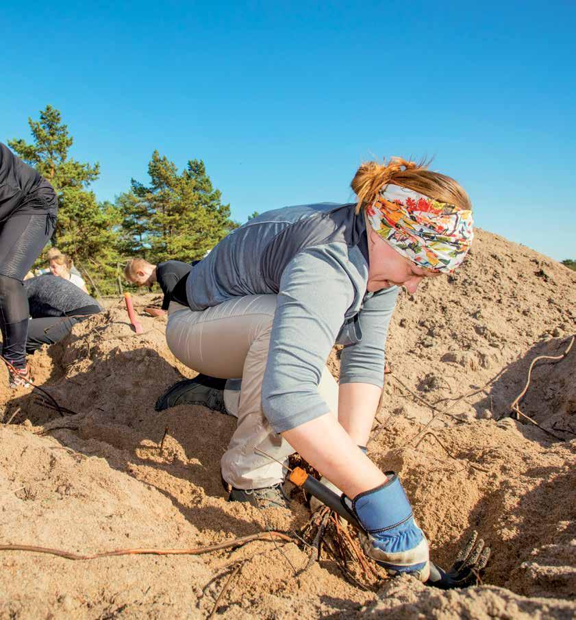 Hyvä talkookohde löytyy usein läheltä Vieraslajeja löytyy ikävä kyllä aika monesta paikasta, joten luultavasti talkookohteen löytäminen ei ole vaikeaa.