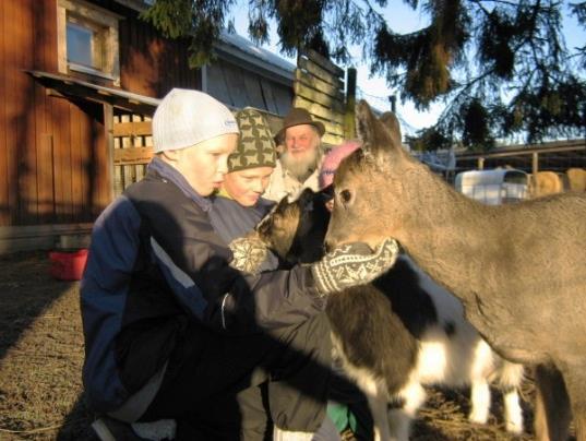 Lisätietoa www.kannistontila.fi TYTTÖJEN JA POIKIEN LEIRI KORPIRAUHASSA ma-ke 4. 6.