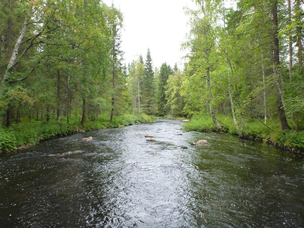 Osa VII: Terrafamen kaivoksen kalataloudellinen tarkkailu vuonna 2017 25 Kuva 24. Alempi sähkökoekalastusala Tuhkajoki 5B Tuhkajoen virtaamaa ja Kolmisopin vedenkorkeutta säädellään Niskalan padolla.