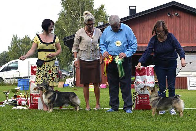 Erikoisnäyttelyn 2015 tulokset Yhdistyksen erikoisnäyttely 8.