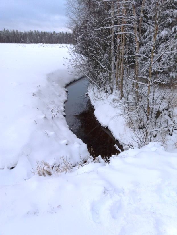 4 Virtaamahavainnot Pohjaveden päävirtaussuunta on kaakosta pohjoiseen. Pohjavesi viettää virtauskynnyksen yli Koppeloharjun alueelle, jossa purkautumista tapahtuu Köyhäjokeen.