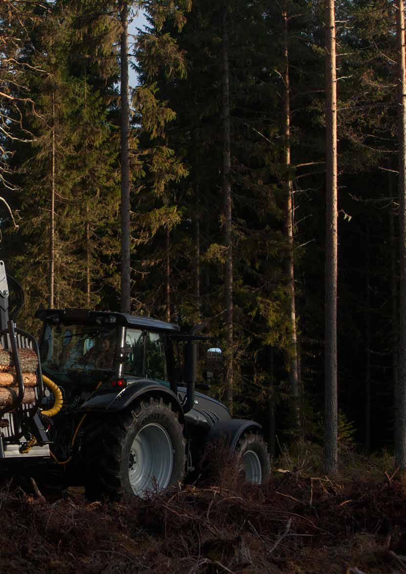 Trejon perheyritys Perheyrityksenä, jolla on historia ja joka ajattelee aina pitkällä aikavälillä, tarjoamme parasta laatua liiketoiminnan kaikissa vaiheissa ja pidämme palvelun korkeimmalla