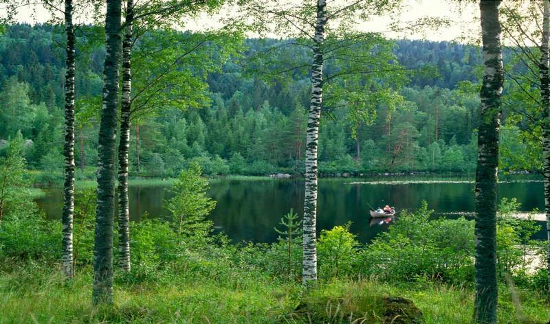Metsä- ja vesialueiden kestävän virkistys- ja matkailukäytön kehittäminen ja turvaaminen (VirKein) 2016-2018 Kolme pääteemaa: