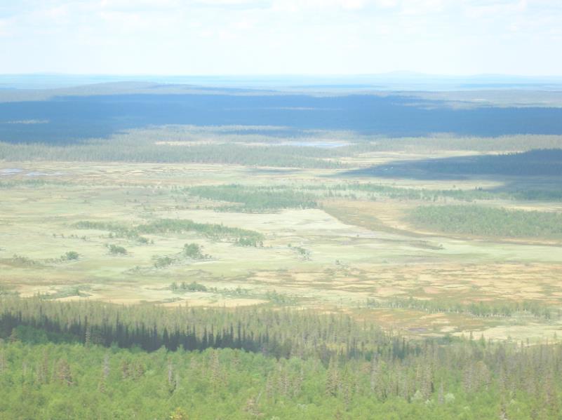 Valtion maiden metsätalous ja maankäyttö on päällekkäiskäyttöä Metsätalouden toiminnan keskeinen erityispiirre ovat MH-lain yleiset yhteiskunnalliset velvoitteet (yyv), joihin kuuluvat: mm.