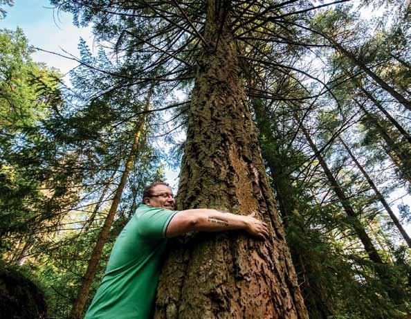 Muistathan myös Kouvolan muut kärkikohteet luonto- ja aktiivilomalle Arboretum Mustila Suomen vanhin ja suurin puulajipuisto, Elimäki www.mustila.fi Tykkimäki huvipuisto, vesipuisto ja camping www.