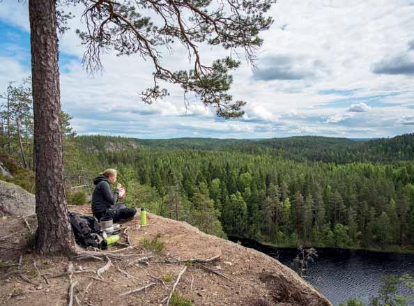 Kouvola Kaupunkikeskustan värikkäät tapahtumat ja iloiset kasvot huvipuiston vilinässä. Unohtamatta sykähdyttäviä kulttuurikokemuksia, jylhiä erämaamaisemia ja maaseudun tarjoamaa rauhaa.
