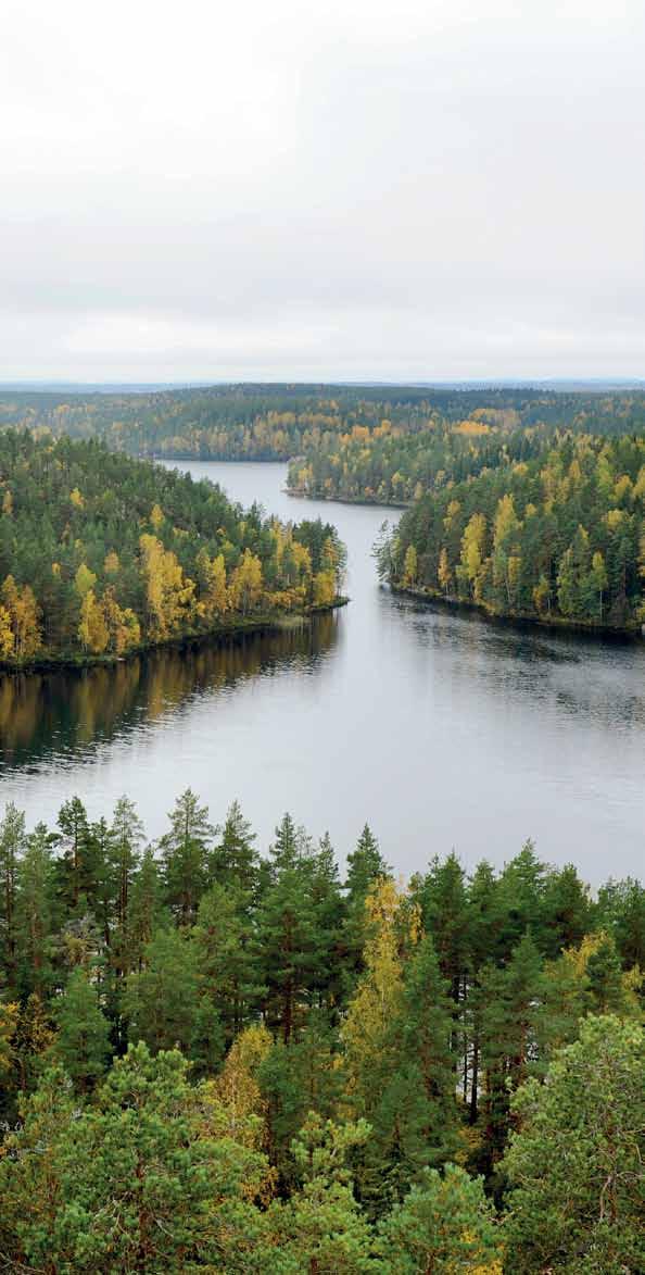 Repoveden-Verlan seudun luontomatkailun kesä 2018 > Etsi, löydä ja koe parhaat luontomatkailukohteet ja kiinnostavimmat luontoaktiviteetit Repoveden