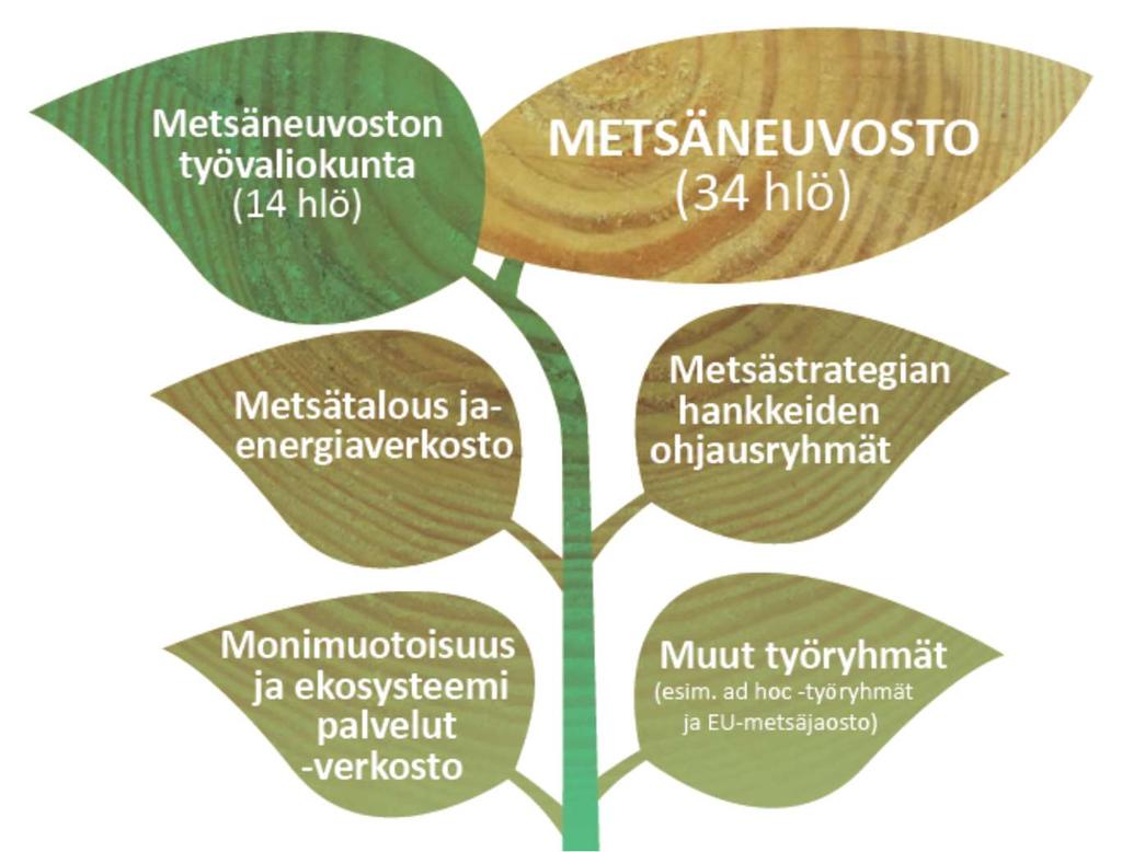 Kuva 8. Kansallisen metsästrategian toimeenpanon organisointi. 6.