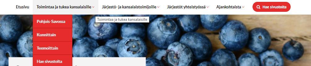 ja toimijoita POHJOIS-SAVOSSA, KUNTASIVUILLA ja TEEMASIVUILLA.