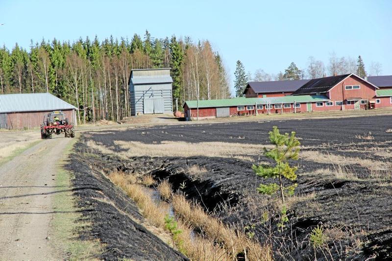 Sängen ja oljen poltto Sängen poltto sallittu ainoastaan, jos se on välttämätöntä kylvön toteutumisen, rikkakasvien, kasvitautien tai tuholaisten torjunnan kannalta (VNA 4/2015 13) Ainoastaan,