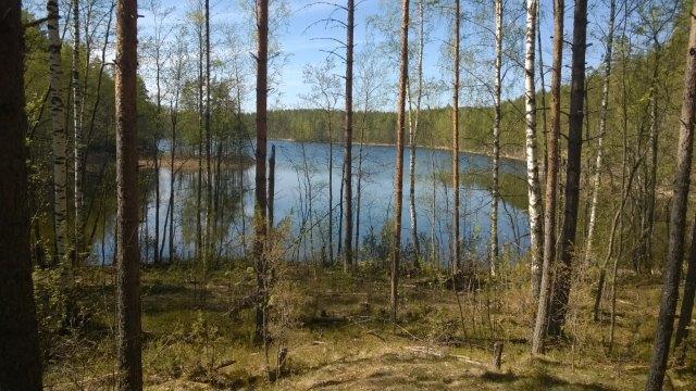 Kaupunkiympäristölautakunta 19.12.2017 Liite 1 79 MKKELN KAUPUNK 7089 Asumisen ja toimintaympäristön palvelualue / kaupunkisuunnittelu PL 33, 50101 Mikkeli Jari Ahonen puh.