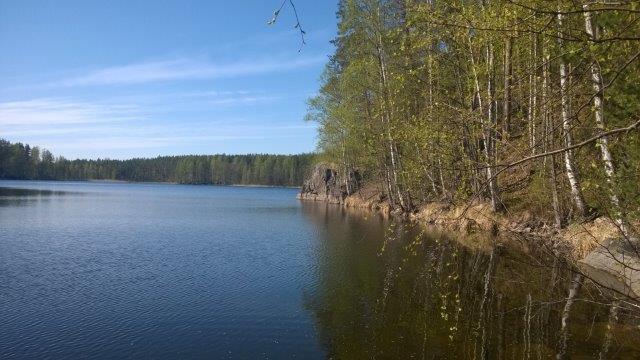 7089 Yöveden-Louhiveden alueen rantaosayleiskaavan muutos Mikkelin kaupunki Yleiskaavan selostus / ehdotusvaihe 7.11.2017 nykyisen rakennuspaikan pohjoisrantaa.