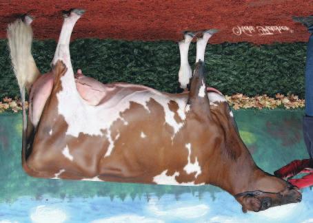 Sylvester Hamende EX-95