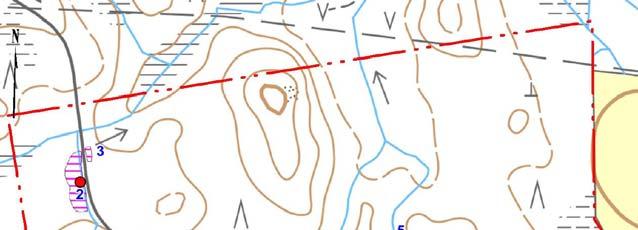 Hankealueen luontoarvot 51 Suurin osa hankealueesta on hakattua metsää.