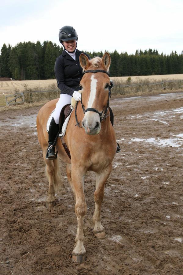 IISA METSOLA Olen Iisa Metsola @equestrianiisa ja kesällä 17-vuotta täyttävä eli olen syntynyt vuonna 2001. Olen iloinen, pirtsakka, sosiaalinen ja huumorintajuinen tyyppi!