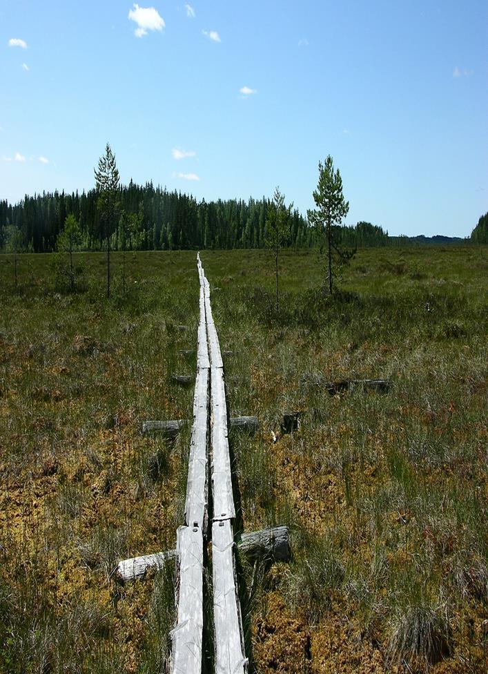 Työkalut auttavat