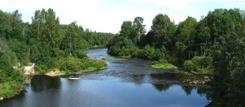 Pintavedet Kyrönjoen Pukarankoski (Envibio 2003). Koskenkorvan maisemaa hallitsee Kyrönjoki, jonka valuma-alueeseen koko suunnittelualue kuuluu.
