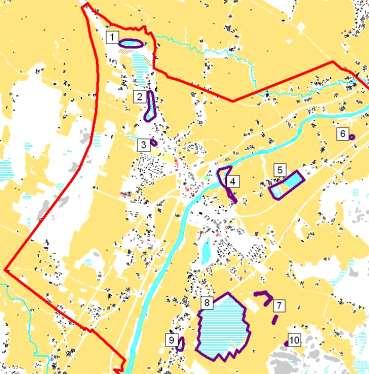 lonioiden paikkoja ei tunneta. Muut suunnittelualueen lepakkohavaintoalueet kuuluvat luokkaan III, jota lepakot käyttävät saalistusalueenaan.