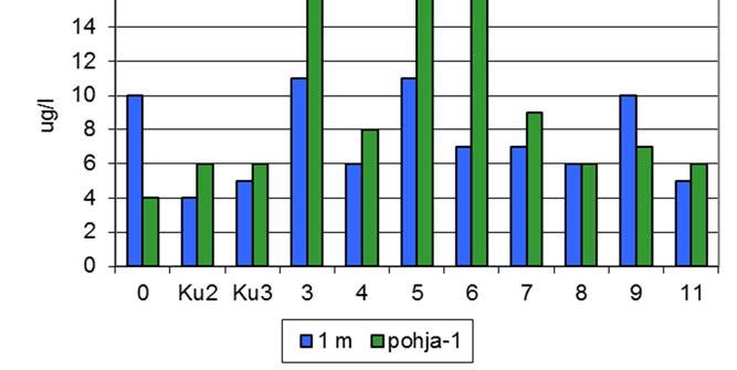 Lievästi kohonneita alusveden fosforipitoisuuksia mitattiin